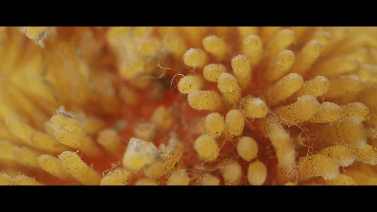 vista de cerca de una superficie con textura