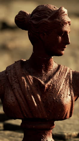 close-up of a bust of a woman in a museum