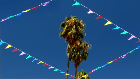 palmeras rodeadas de banderas.