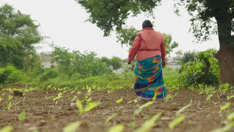 a woman works in a field