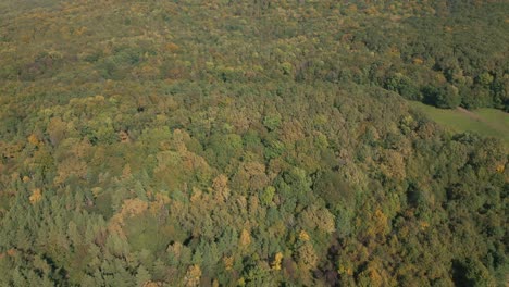 Aerial-view-of-autumn-forest-and-in-the-end-with-a-shot-of-the-rocks