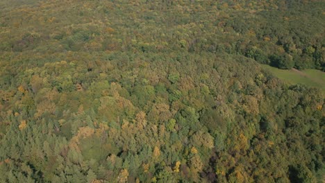 vista aérea del bosque de otoño y al final con un tiro de las rocas