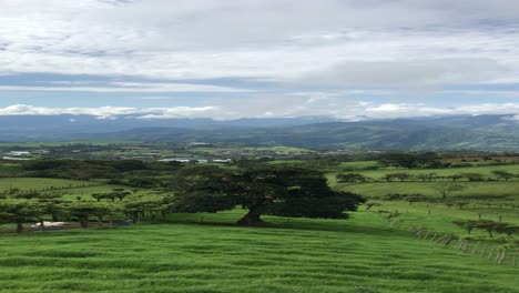 Este-Video-Fue-Tomado-En-Una-Finca-En-Costa-Rica