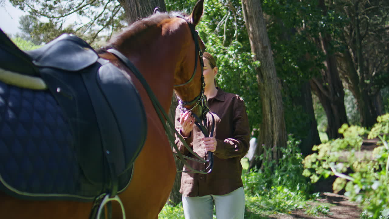 Gentle horsewoman stroking animal at windy nature. Happy cowgirl holding bridle