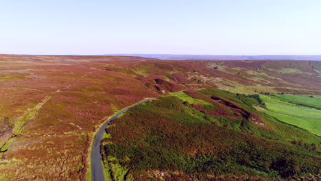 north york moors heather en danby dale - imágenes aéreas de drones de heather en plena floración en verano - clip 6