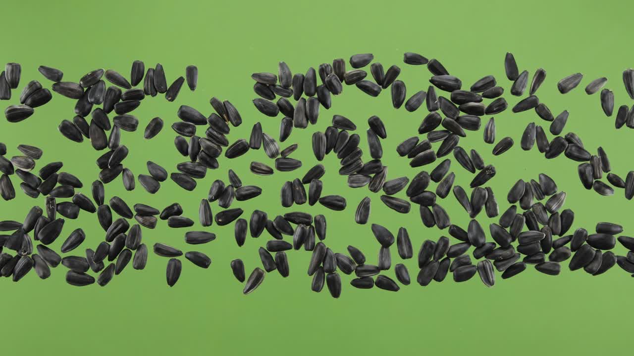 초록색 화면에서 분리 된 꽃 곡물 줄무. 상단 뷰