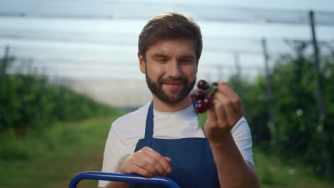 Garden-business-man-holding-orchard-cherry-in-harvest-season-at-sunny-farm.