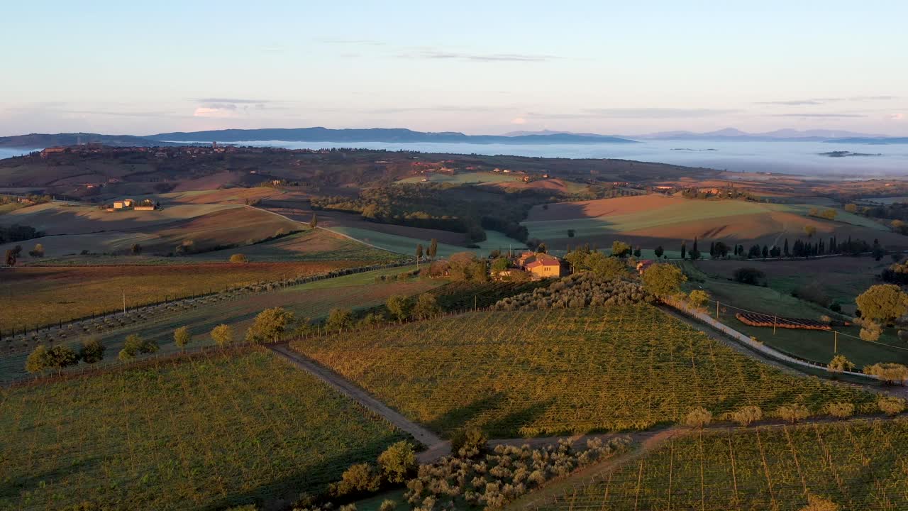 imágenes de drones del paisaje natural hermosas colinas bosques campos y viñedos de toscana, italia durante el amanecer