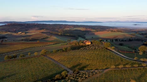 drone footage of nature landscape beautiful hills forests fields and vineyards of tuscany, italy during sunrise