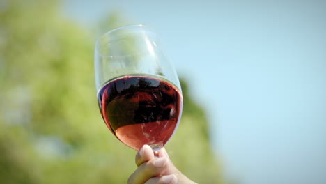 Rosé-Glass-Wine-Tasting-in-a-Sunny-Day-in-Slow-Motion