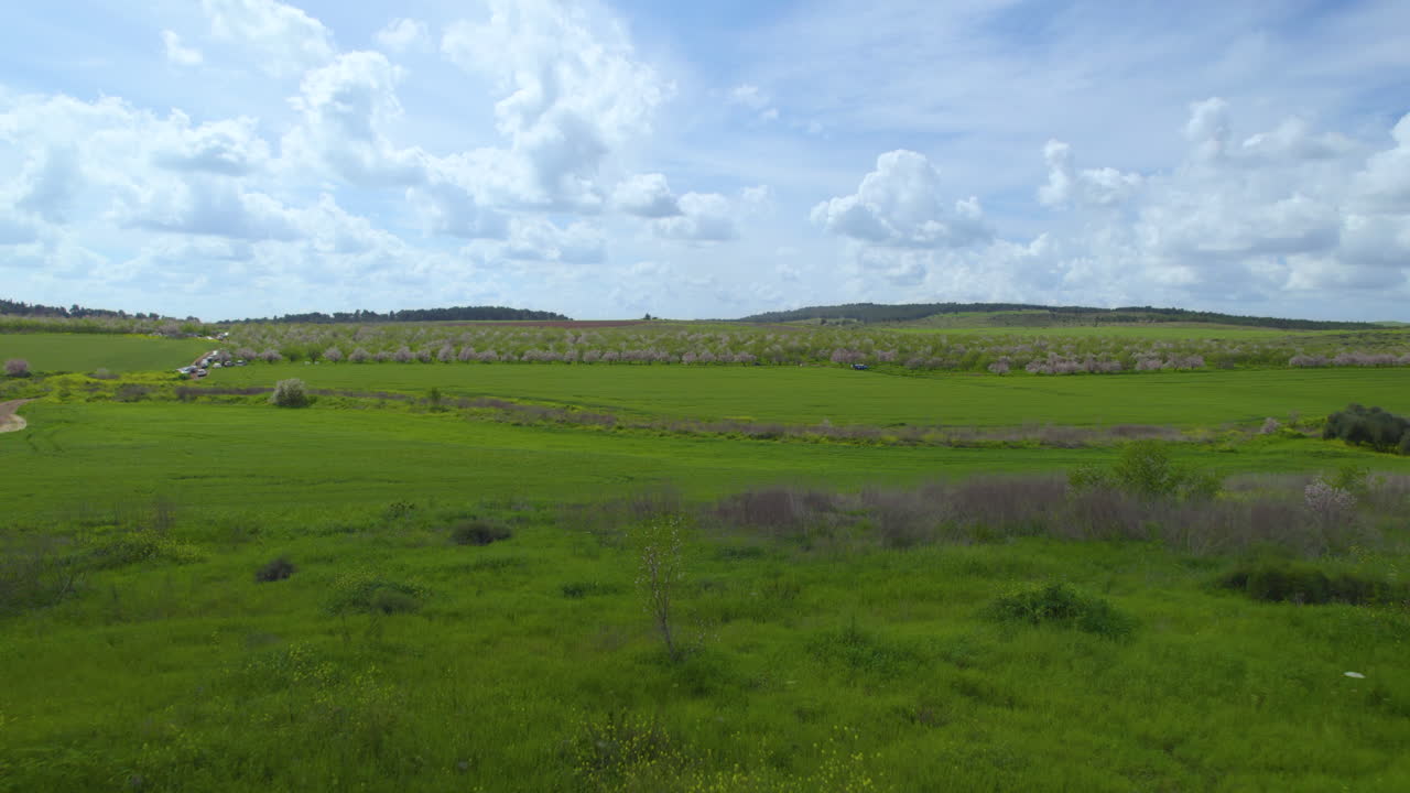 꽃이 피는 아몬드 나무와 방문객들이 꽃 에 앉아있는 거대한 평평한 지역을 향해 밀어, 밝은 색으로 구름이 은 봄 날