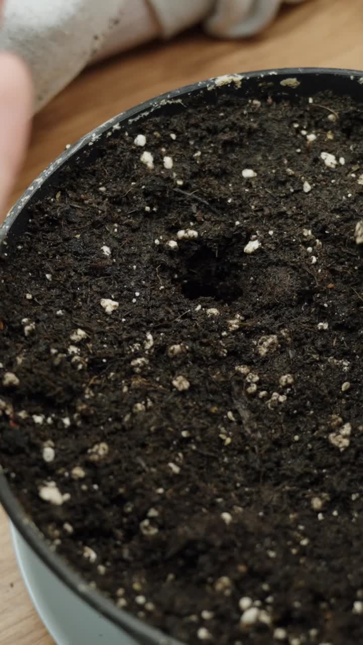 Planting seeds into soil in a pot with hand gesture, calm indoor gardening moment