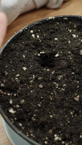 planting seeds into soil in a pot with hand gesture, calm indoor gardening moment