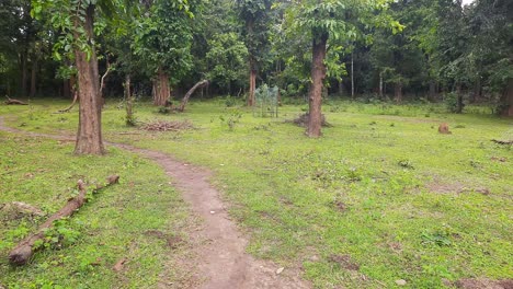 Bucolic-scene-in-windy-day,-dirt-path-near-woods