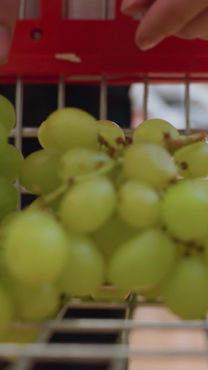 vista de una persona con un traje negro colocando uvas en un carrito de compras que ya contiene una manzana. capturado con una cámara portátil en un ambiente bullicioso de una tienda de comestibles