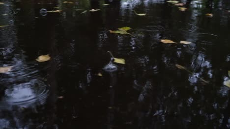 Autumn-rain-in-bad-weather,-rain-drops-on-the-surface-of-the-puddle-with-fallen-leaves.