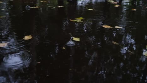 autumn rain in bad weather, rain drops on the surface of the puddle with fallen leaves.