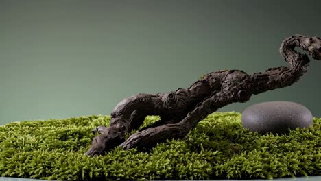 miniature gnarled bonsai tree trunk resting on a bed of vibrant green moss with a smooth zen stone, creating a tranquil and meditative scene against a soft green backdrop