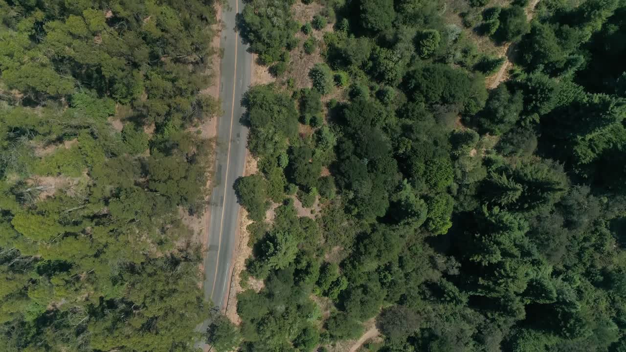 siguiendo la carretera de regreso a través de las colinas de berkeley toma aérea mirando hacia abajo, norte de california
