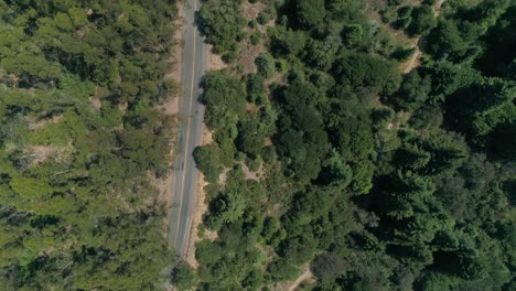 Following-back-road-through-the-Berkeley-hills-aerial-shot-looking-down,-Northern-California