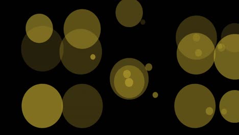 animation of floating light spots on black background