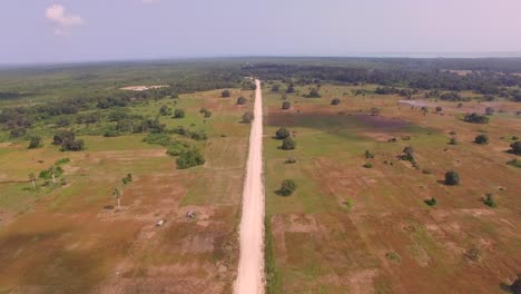 aerial: savanna area in the middle of zanzibar