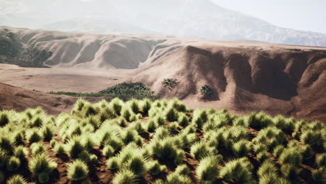 desert landscape with grassy hills and mountains