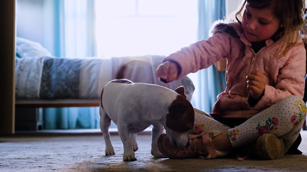 귀여운 백인 아이와 애완 동물 잭 러셀 사이의 사랑스러운 상호 작용
