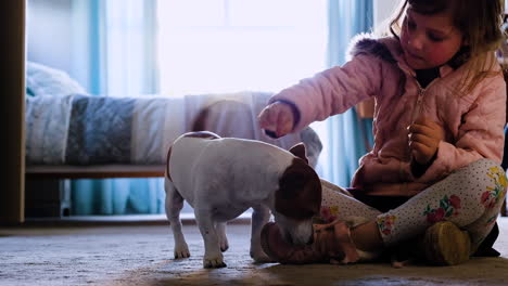 Interacción-Entrañable-Entre-El-Lindo-Niño-Caucásico-Y-La-Mascota-Jack-Russell