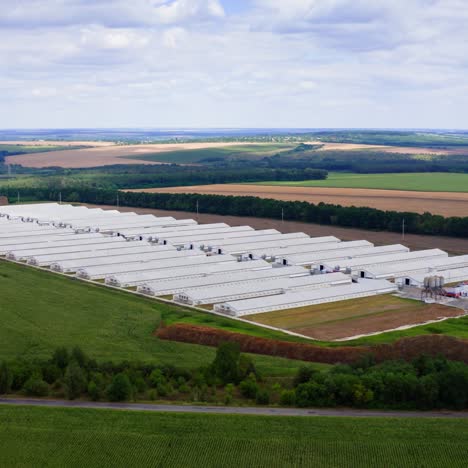 new farm on fields background. modern agricultural buildings surrounded by green nature in summer. aerial view