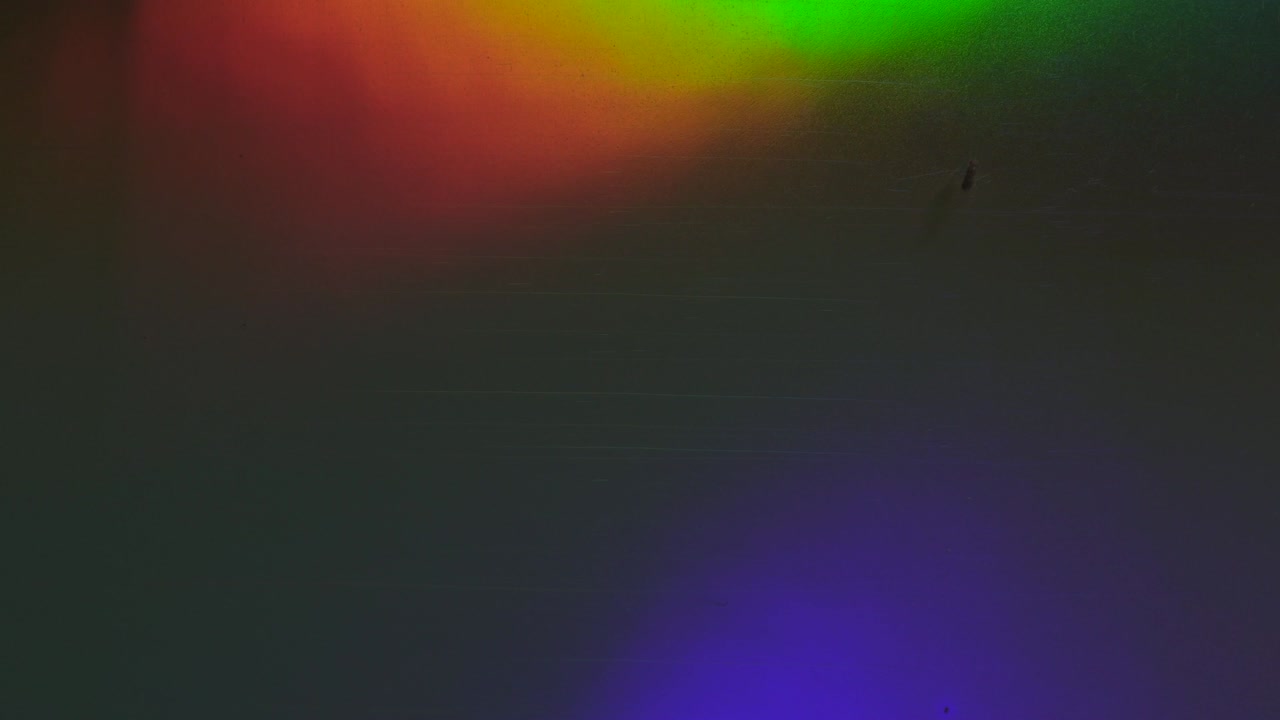 pequeña mosca doméstica divertida aterrizando en la luz futurista vibrante rayado holográfico de fondo de la lámina mientras que la luz led se mueve alrededor