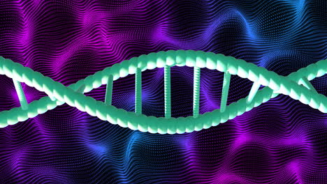 dna strand over animated purple and blue wavy background