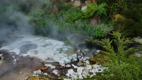 close up shot of geothermal pools with boiling water surrounded by green nature of new zealand - waimangu, volcanic valley