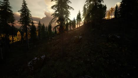 summer forest in mountain landscape