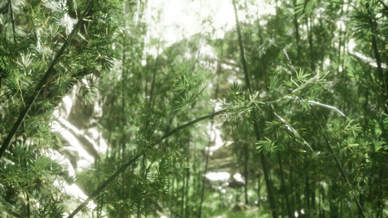 Lush greenery envelops a tranquil pathway in a sunlit forest