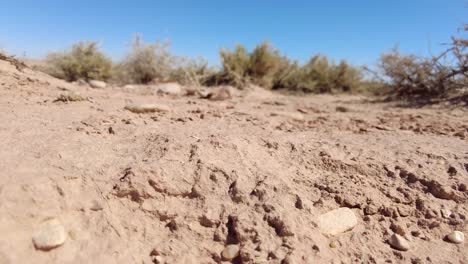 paisaje árido en el sahara de biskra argelia