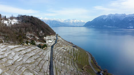 overlooking leman lake in lavaux vineyard terraces with snowy mountains in background, vaud switzerland during winter