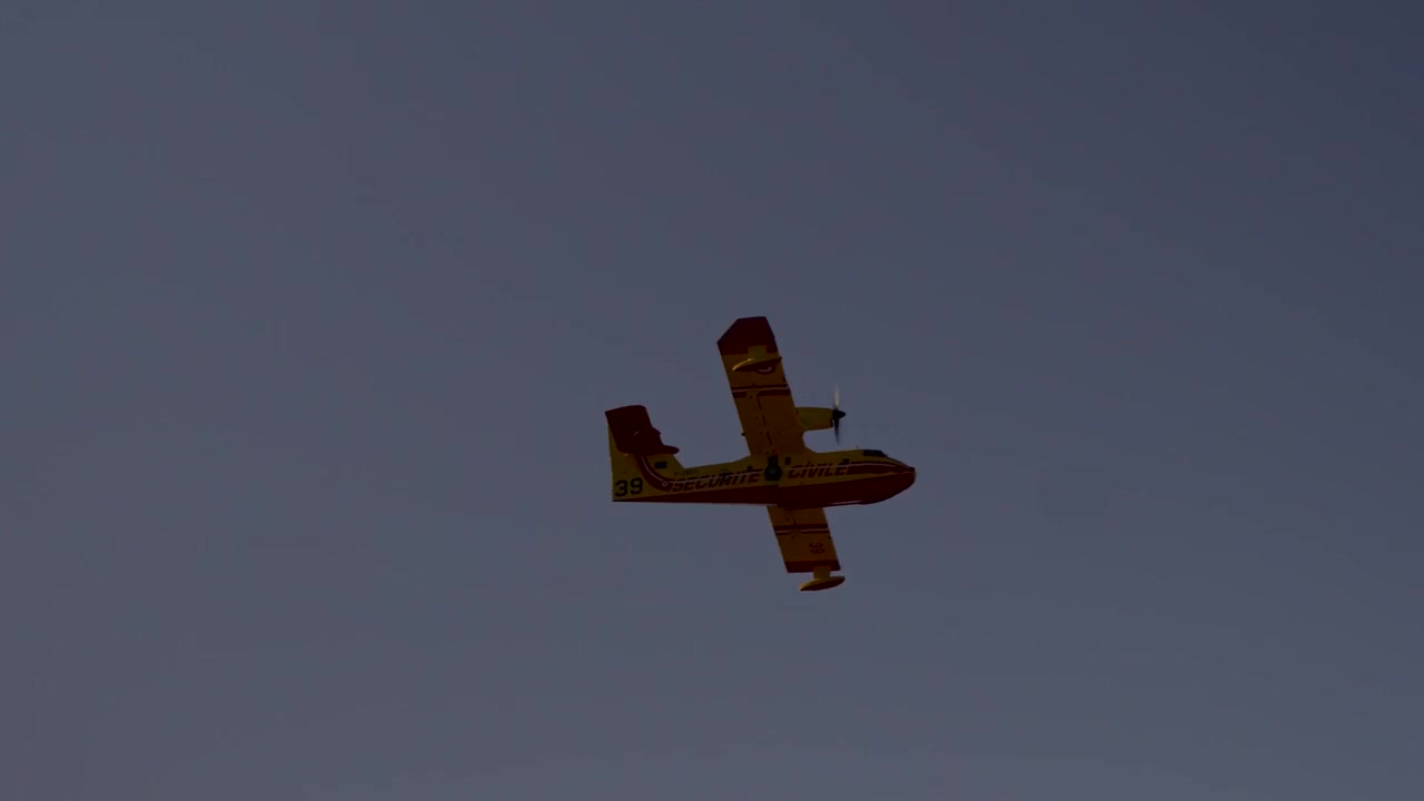 Un aereo antincendio Canadair sorvola, incorniciato dai rami degli alberi, durante un intervento per un incendio boschivo.