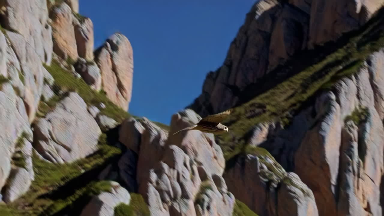 Falcon Soaring Over Mountain Cliffs