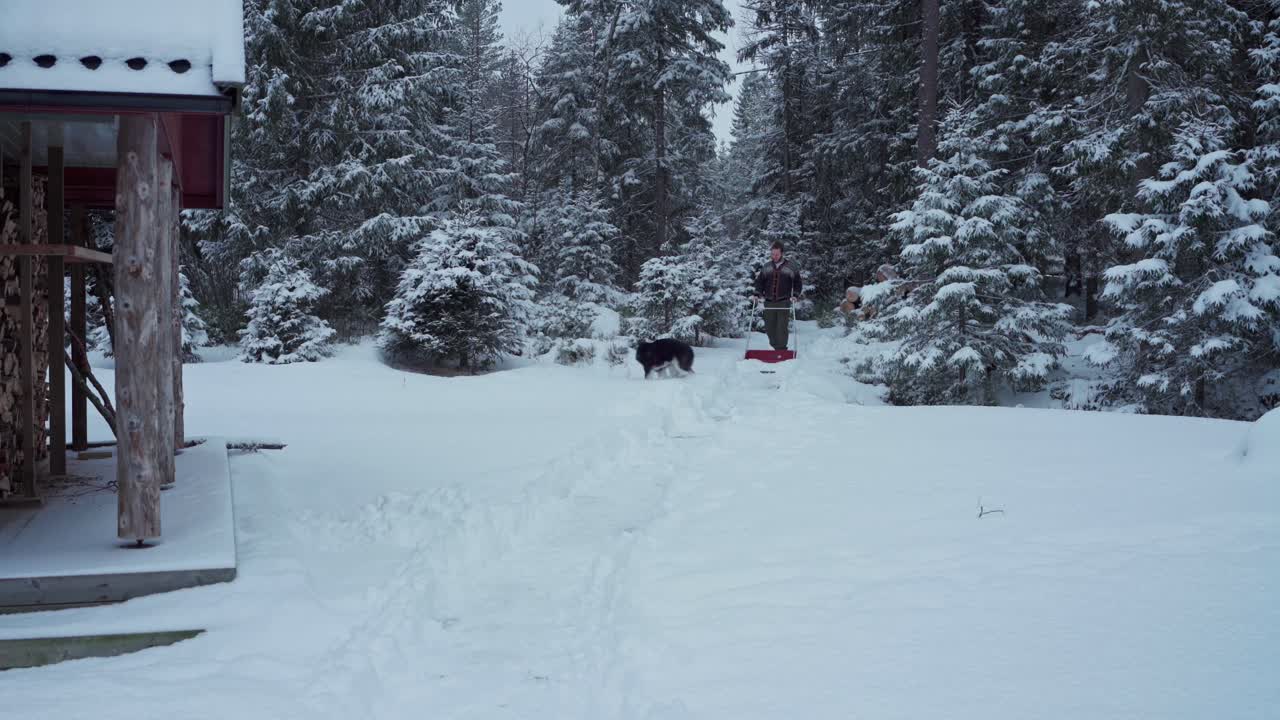 persona con su perro malamute de alaska, paleando nieve con un denso bosque al fondo en trondheim, noruega