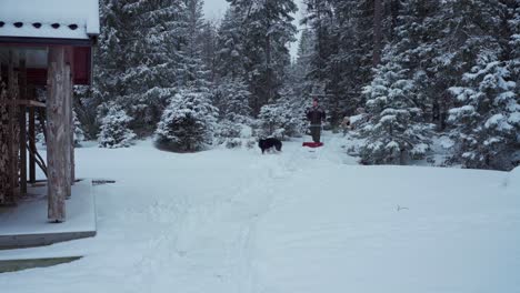 Person-With-His-Alaskan-Malamute-Pet-Dog,-Snow-Shoveling-With-Dense-Forest-At-Background-In-Trondheim,-Norway