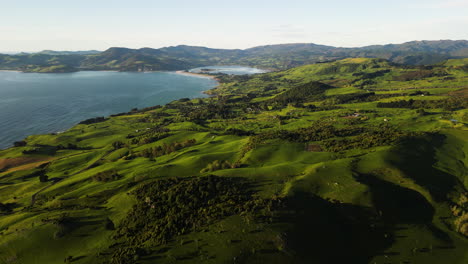 aerial view of warrington domain beach-side park in warrington, near dunedin famous for ocean waves surf spot