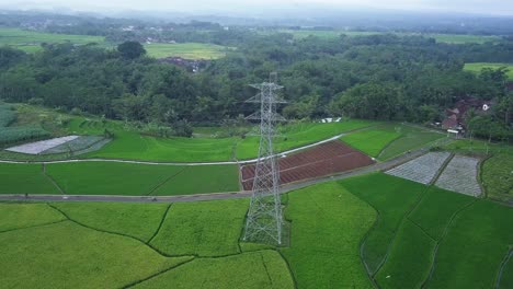 Torre-Eléctrica-De-Alto-Voltaje-En-Medio-Del-Campo-De-Arroz