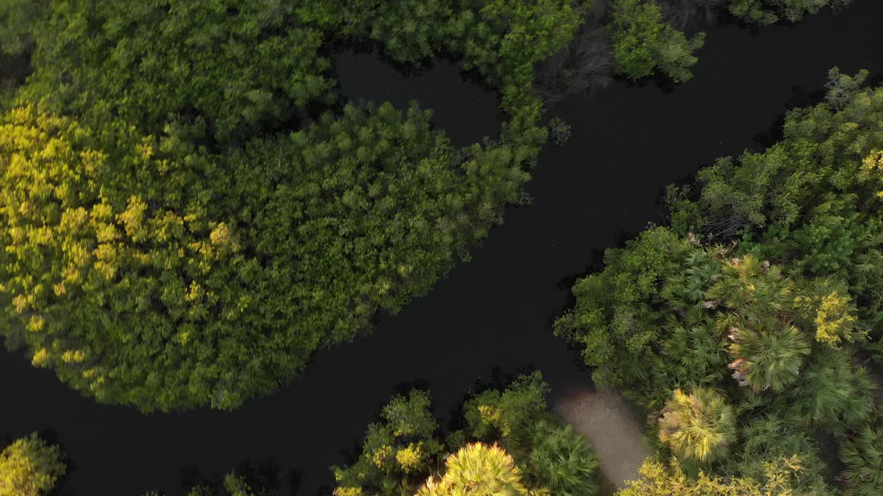 florida kayak trail - antena con giros rápidos siguiendo el río hasta el océano