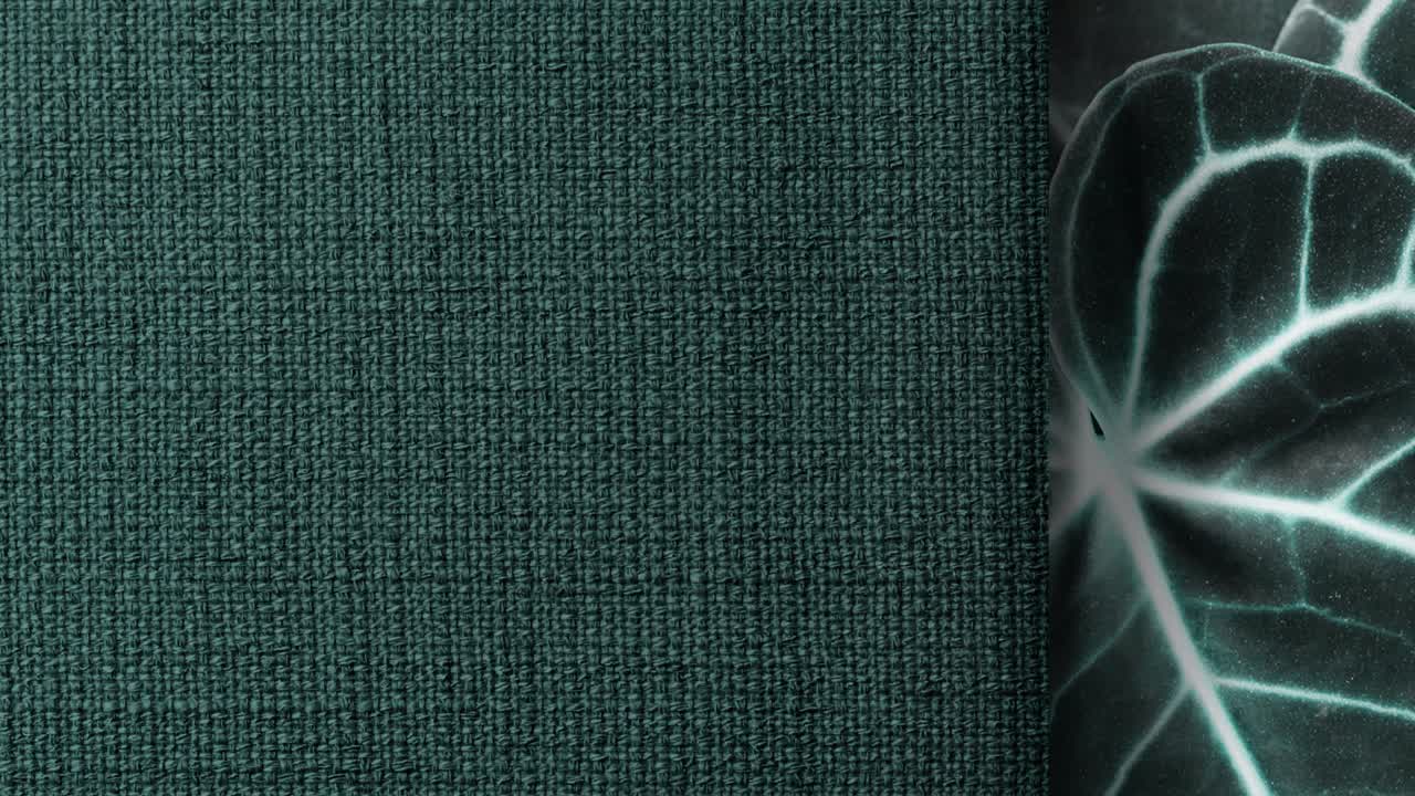 Video con sovrapposizione di glitch di rumore. Malfunzionamento glitch video digitale - Rumore di pellicola su schermo TV analogico VHS, Foglia.