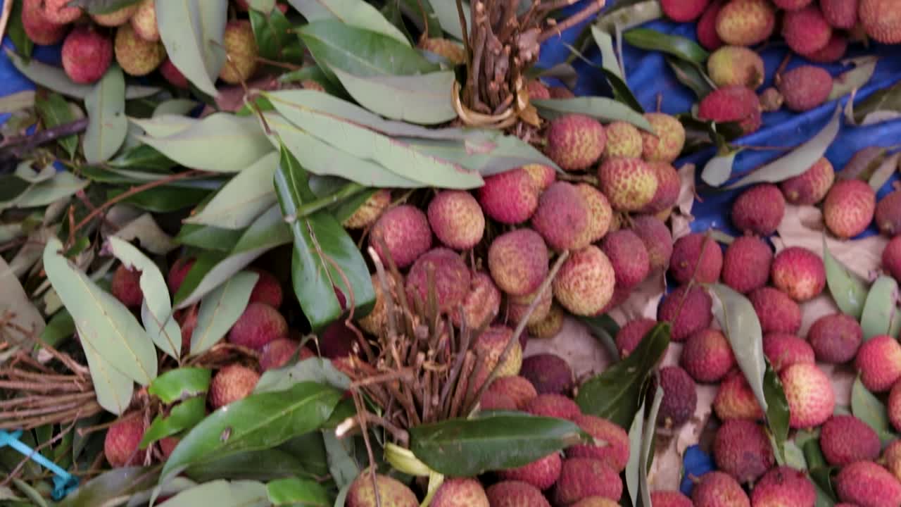 bungkus litchi organik segar dari peternakan dekat dari sudut yang berbeda