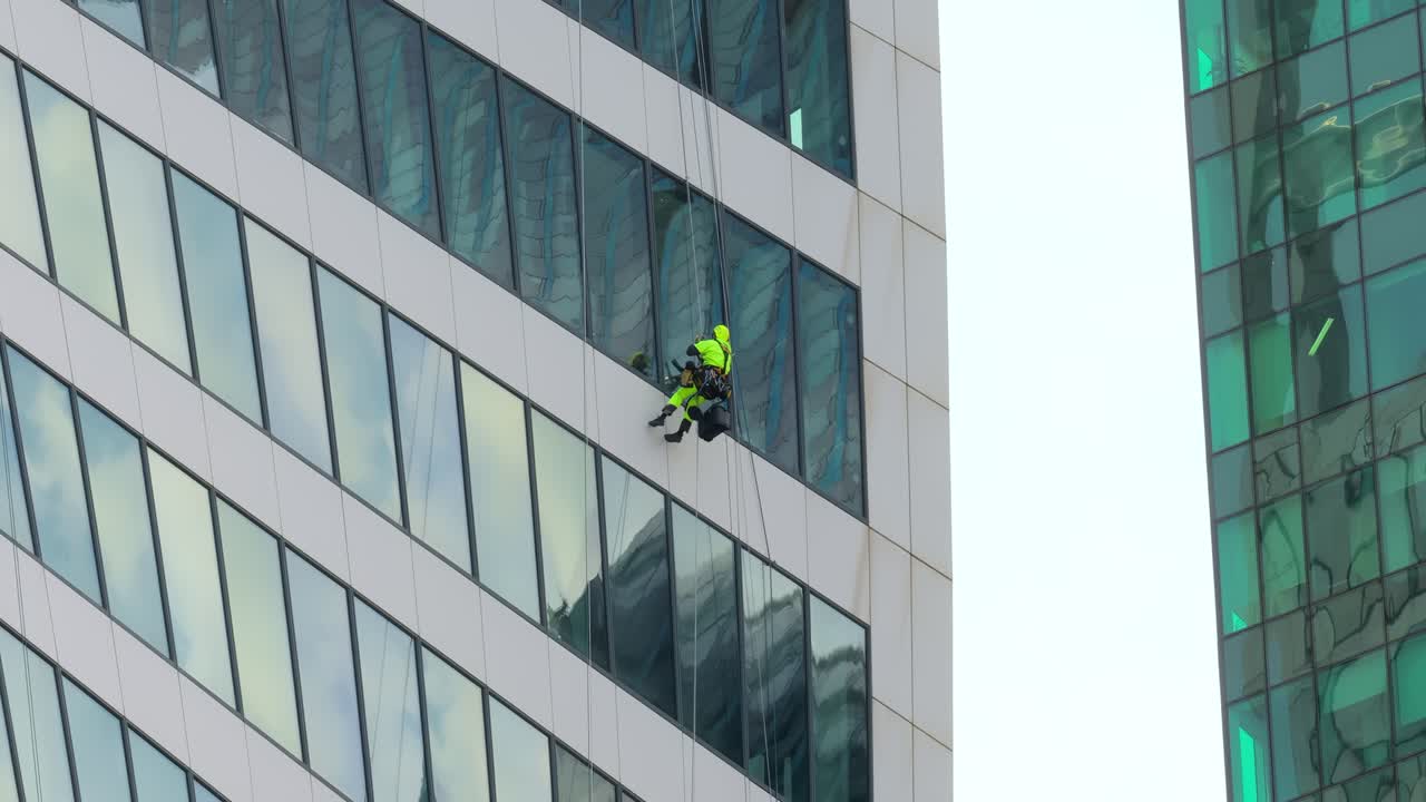 Professional Window cleaners at work