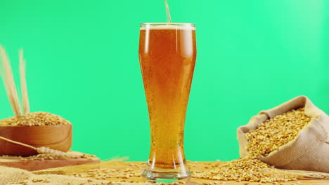 pouring beer into a glass with barley and wheat
