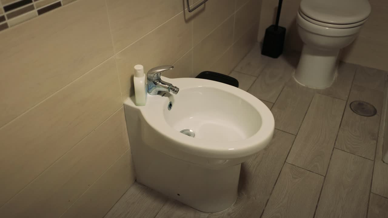Bathroom with toilet, bidet, and shower