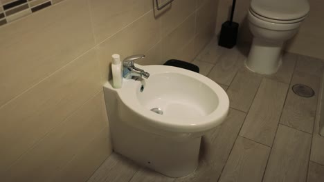 bathroom with toilet, bidet, and shower